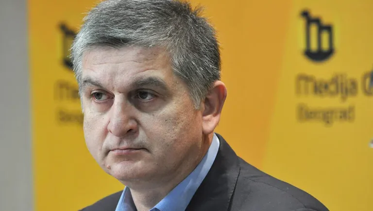 Šajn: SNS organizovala batinaške brigade unutar romske zajednice da bi je naterala na poslušnost