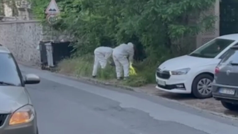 Supruga uhapšenog Saše Vukovića Bosketa puštena u kućni pritvor