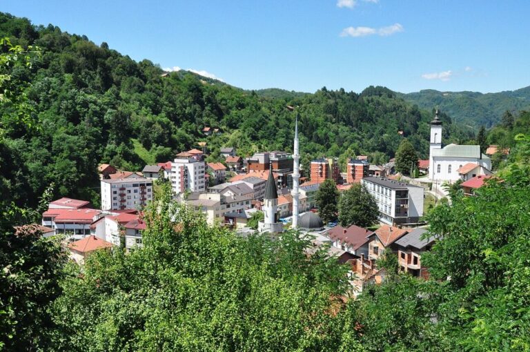 „Genocid“ u Srebrenici – sredstvo za demonizaciju političkog i vojnog rukovodstva Republike Srpske i srpskoga naroda u cjelini.“